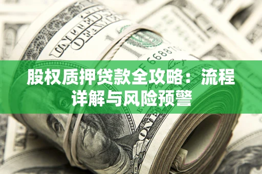 武汉股权质押贷款全攻略：流程详解与风险预警