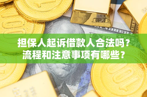 武汉担保人起诉借款人合法吗？流程和注意事项有哪些？