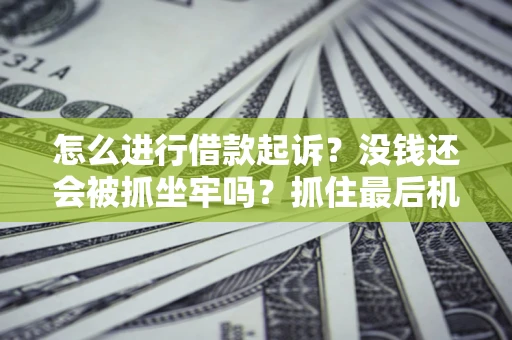 武汉怎么进行借款起诉？没钱还会被抓坐牢吗？抓住最后机会！