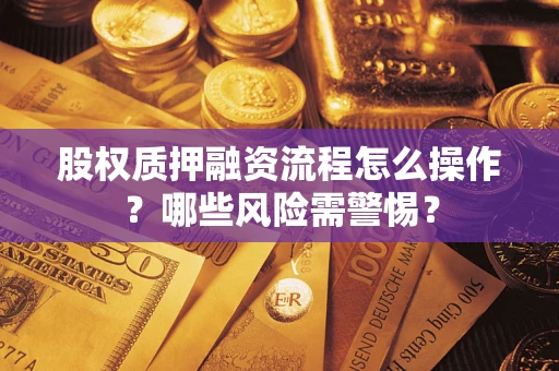 武汉股权质押融资流程怎么操作？哪些风险需警惕？