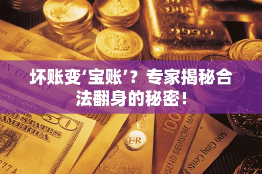 武汉坏账变‘宝账’？专家揭秘合法翻身的秘密！