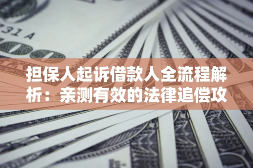 武汉担保人起诉借款人全流程解析：亲测有效的法律追偿攻略