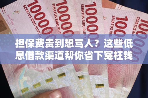 武汉担保费贵到想骂人？这些低息借款渠道帮你省下冤枉钱