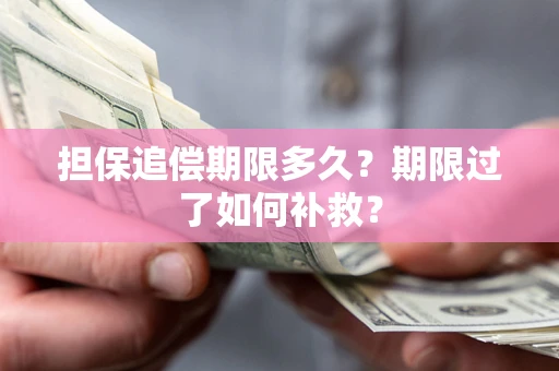 武汉担保追偿期限多久？期限过了如何补救？