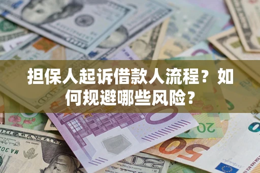 武汉担保人起诉借款人流程？如何规避哪些风险？