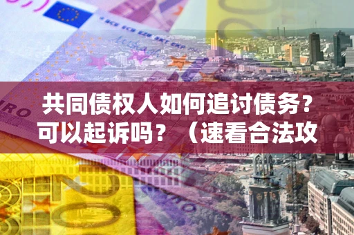 武汉共同债权人如何追讨债务？可以起诉吗？（速看合法攻略）