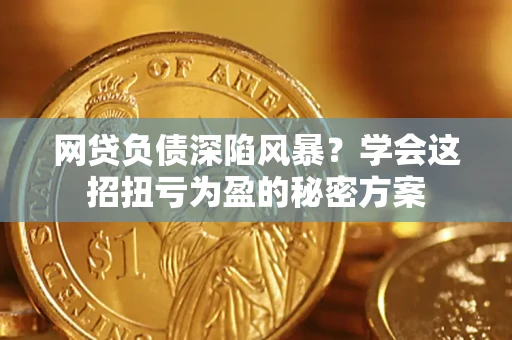 武汉网贷负债深陷风暴？学会这招扭亏为盈的秘密方案