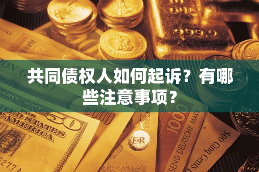 武汉共同债权人如何起诉？有哪些注意事项？