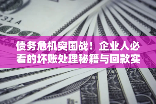 武汉债务危机突围战！企业人必看的坏账处理秘籍与回款实战指南